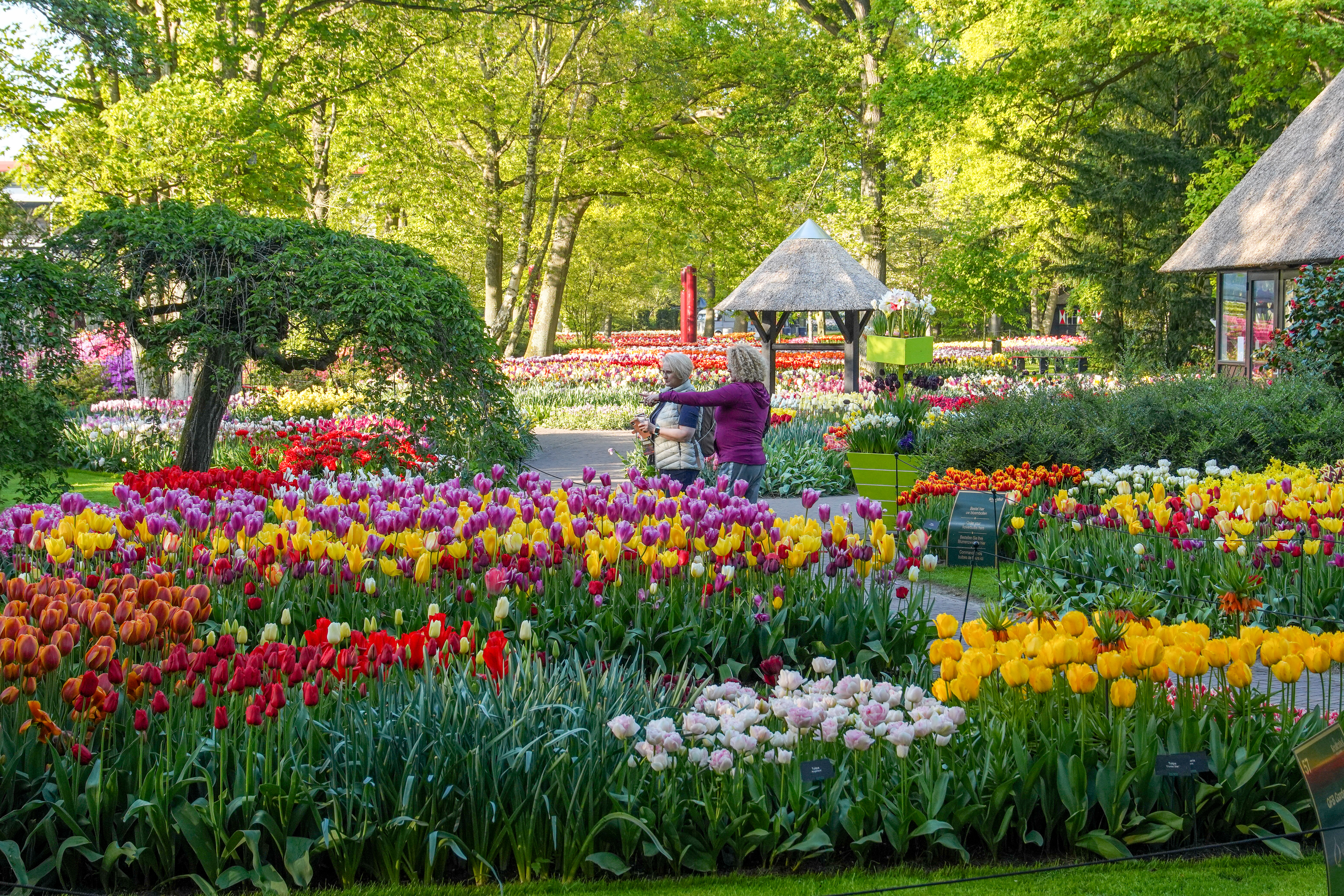 Keukenhof3