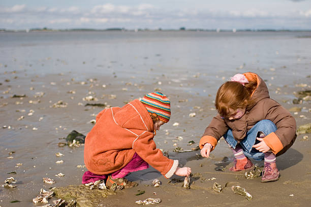 Strandjutters aan de kust van Noordwijk