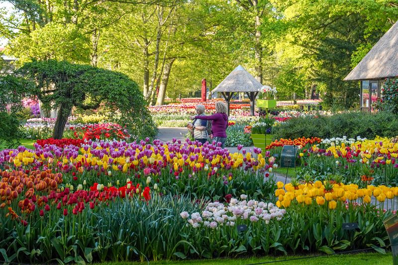 keukenhof